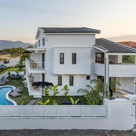 Solis Ortus Adults 16plus *