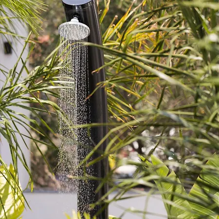 Solis Ortus Adults 16plus *