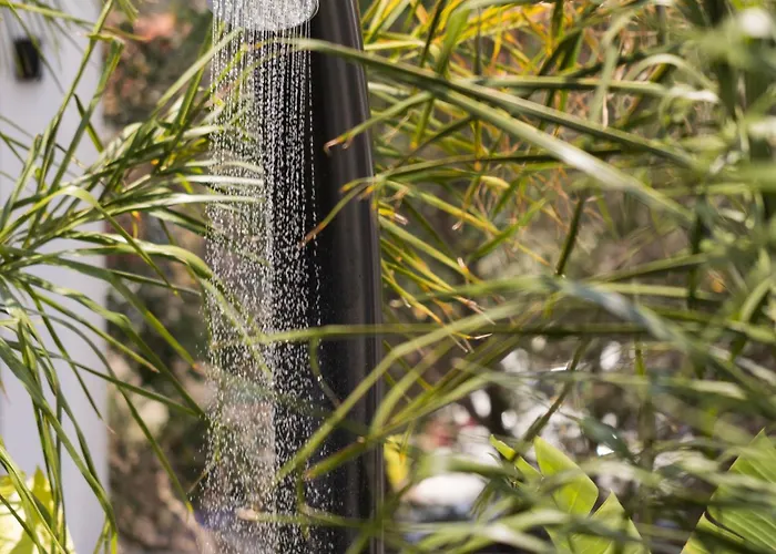 Solis Ortus Adults 16plus *