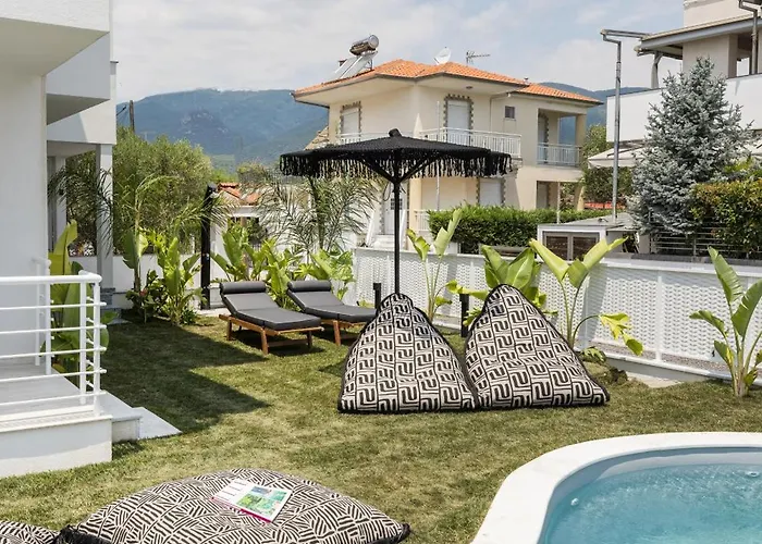 Solis Ortus Adults 16plus *