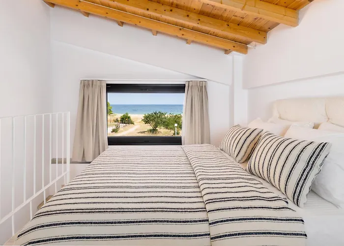 Solis Ortus Adults 16plus 艾斯普罗瓦塔